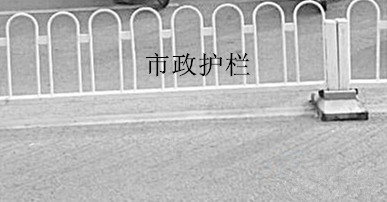 市政交通護(hù)欄網(wǎng)