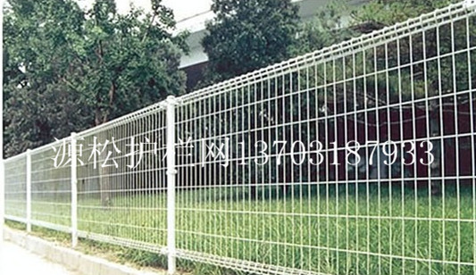 綠化帶護(hù)欄網(wǎng)3