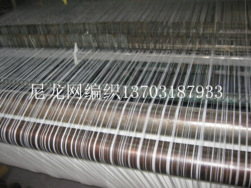 螞蚱養(yǎng)殖網編織2