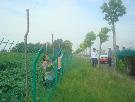 田地圍欄網(wǎng)1