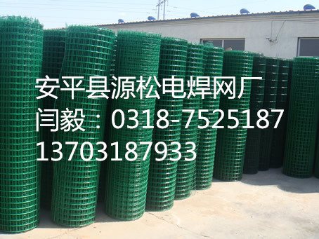 涂塑荷蘭網(wǎng)