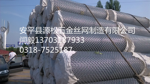 電廠保溫專用鍍鋅勾花網(wǎng)