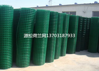 攔雞包膠綠色鐵絲網(wǎng)