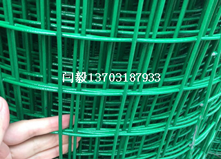 攔雞包膠綠色鐵絲網(wǎng)