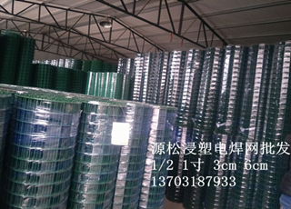 浸塑電焊網(wǎng)