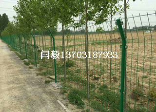 綠色鐵絲網(wǎng)