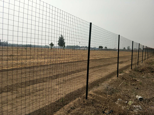 綠色鐵絲網(wǎng)